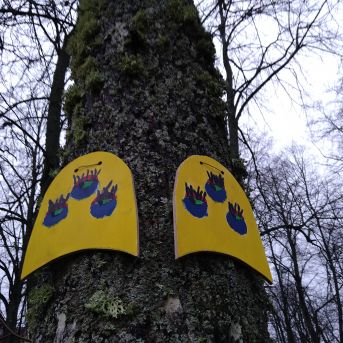 Koki - laika liecinieki - 