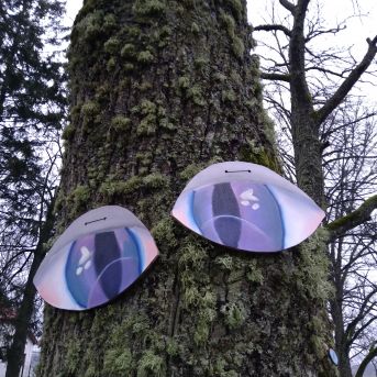 Koki - laika liecinieki - 