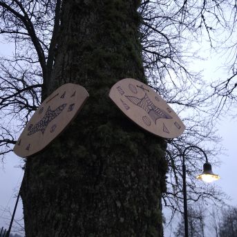 Koki - laika liecinieki - 