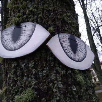 Koki - laika liecinieki - 