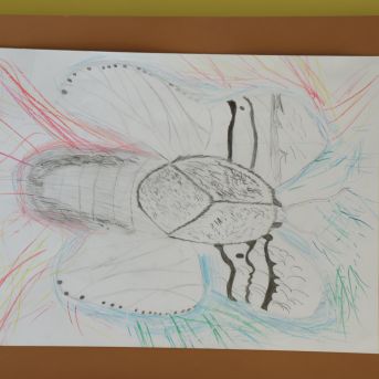 SMMS audzēkņu darbu izstāde  - 