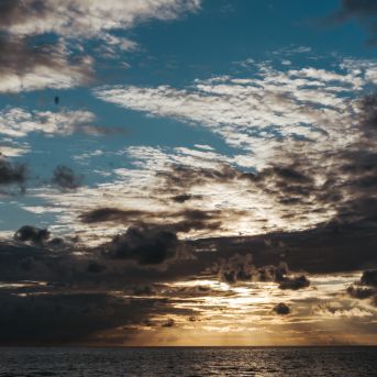 Lai top! 1. diena  - 