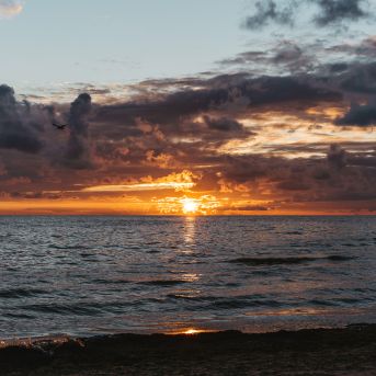 Lai top! 1. diena  - 