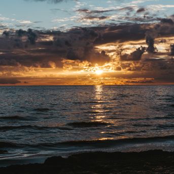 Lai top! 1. diena  - 