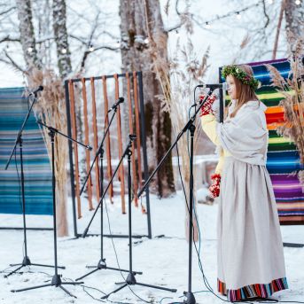 Sējas dižozols - Eiropas gada koks Latvijā 2022 - 