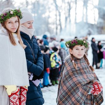 Sējas dižozols - Eiropas gada koks Latvijā 2022 - 