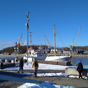 Valsts konkurss MĀKSLĀ - 