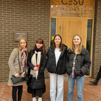 Stīgu instrumentu spēles metodiskā diena AKCMV - 