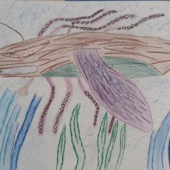 Mākslas audzēkņu konkursu darbi - 