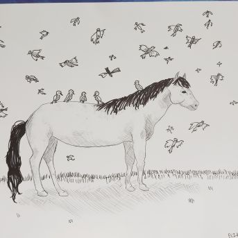 Mākslas audzēkņu konkursu darbi - 