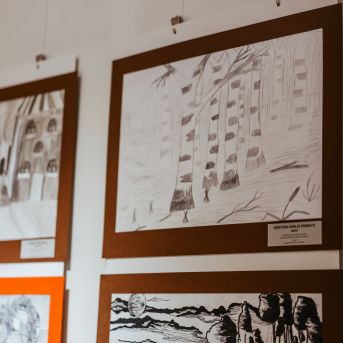 Ilustrējam kopā ar Zeberiņu - 