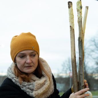 Dziesmu vakars klusinātā gaismā - 