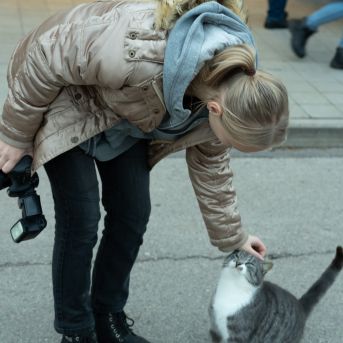 Dziesmu vakars klusinātā gaismā - 