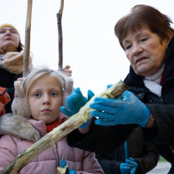 Dziesmu vakars klusinātā gaismā - 