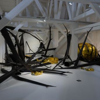 Brauciens uz izstādi - 2023.11.30.