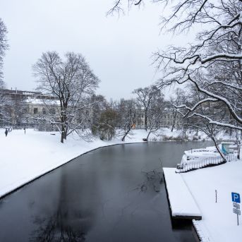 Brauciens uz izstādi - 2023.11.30.