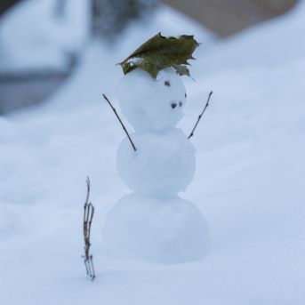 Brauciens uz izstādi - 2023.11.30.