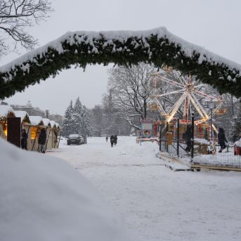 Brauciens uz izstādi - 2023.11.30.