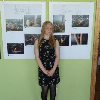 Diplomdarbu aizstāvēšana - 