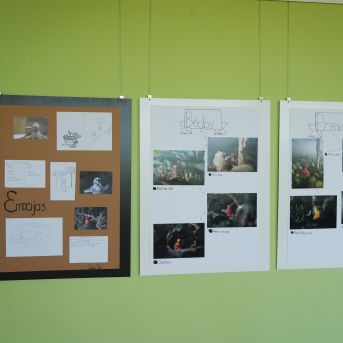 Diplomdarbu aizstāvēšana - 