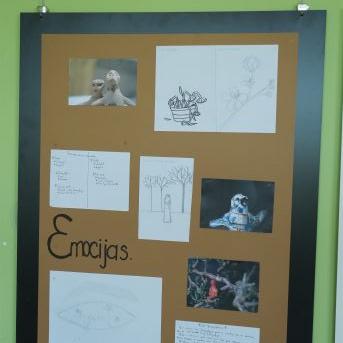 Diplomdarbu aizstāvēšana - 