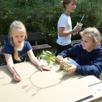 Lai top!  2024 1. diena - 