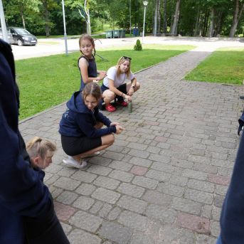 Lai top!  2024 1. diena - 