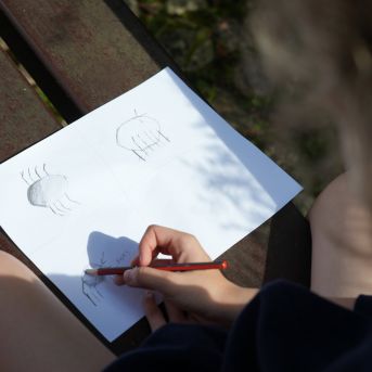 Lai top!  2024 1. diena - 