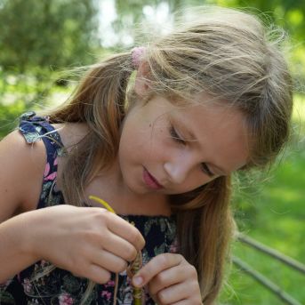 Lai top!  2024 1. diena - 