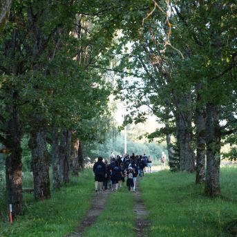 Lai top!  2024 1. diena - 