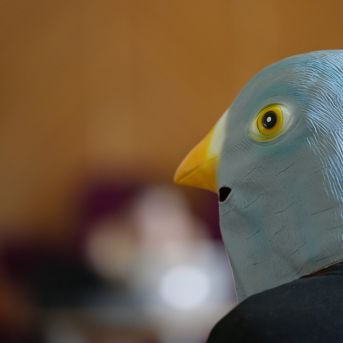 Lai top!  2025 1.diena - 