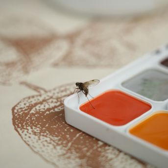 Lai top!  2025 2.diena - 