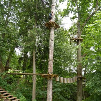 Lai top!  2025 3.diena - 