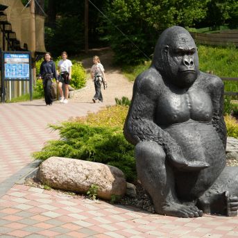 Lai top!  2025 3.diena - 