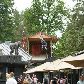 Lai top!  2025 3.diena - 