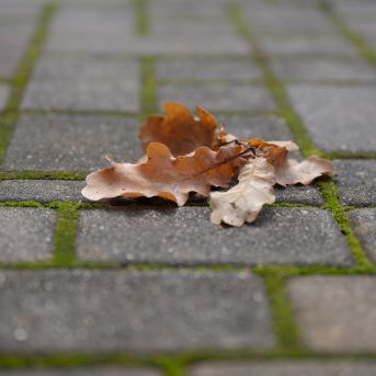 Lai top!  2025 4.diena - 