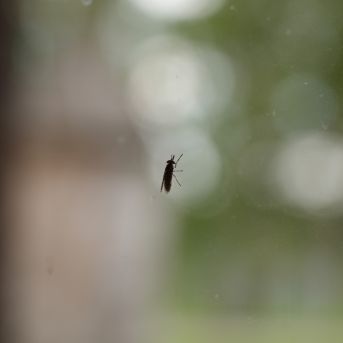 Lai top!  2025 4.diena - 