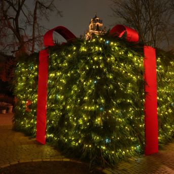 Mākslas nodaļas brauciens uz Lietuvu 2025.decembrī - 