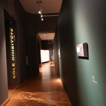 Mākslas nodaļas brauciens uz Lietuvu 2025.decembrī - 