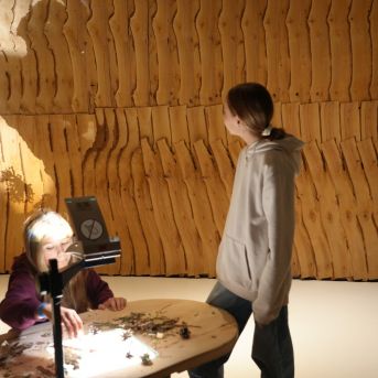 Mākslas nodaļas brauciens uz Lietuvu 2025.decembrī - 