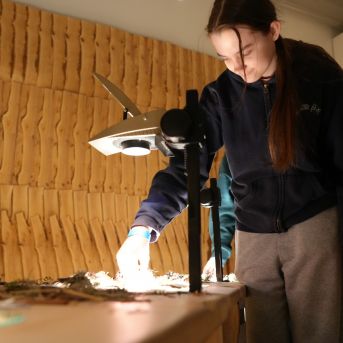 Mākslas nodaļas brauciens uz Lietuvu 2025.decembrī - 