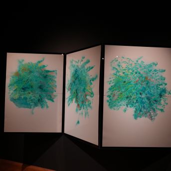 Mākslas nodaļas brauciens uz Lietuvu 2025.decembrī - 