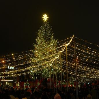 Mākslas nodaļas brauciens uz Lietuvu 2025.decembrī - 