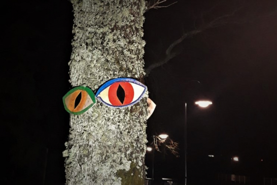 „Koki – laika liecinieki” - vides objekts skatāms ezerkrastā pie Pabažu kultūras nama